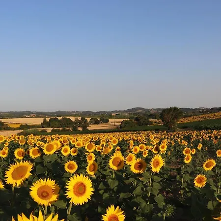 Pax Et D'hotes De Charme - Charming Bed & Breakfast Mazerolles-du-Razes